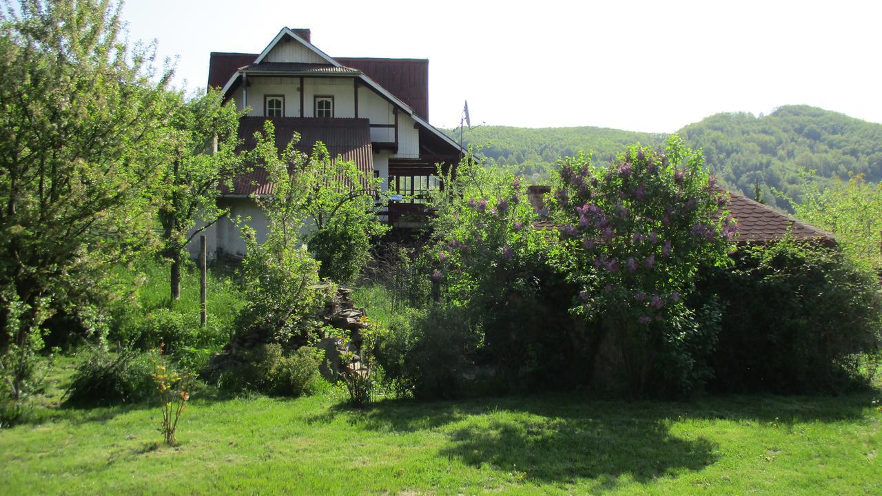 Cabana Poiana Galdei 外观 照片