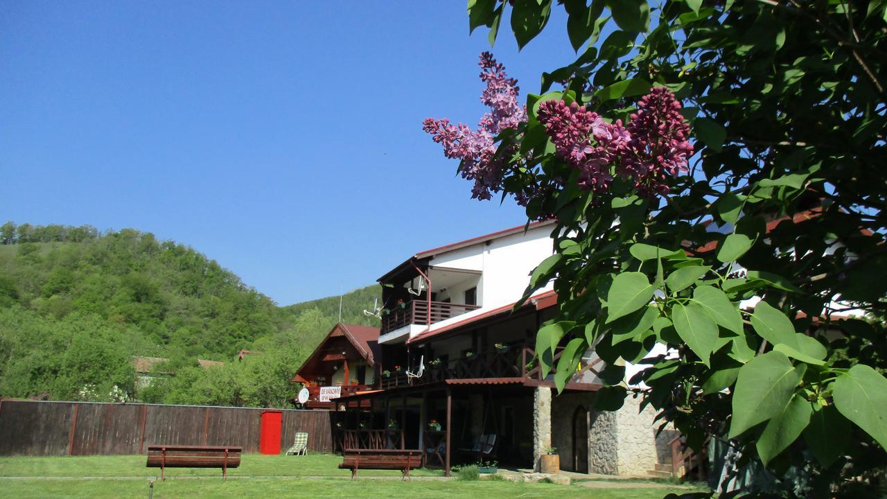 Cabana Poiana Galdei 外观 照片